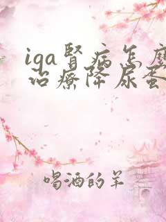 iga肾病怎么治疗降尿蛋白