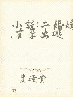 小说:二婚娇妻,有孕出逃