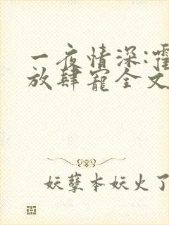 一夜情深:霍少放肆宠全文