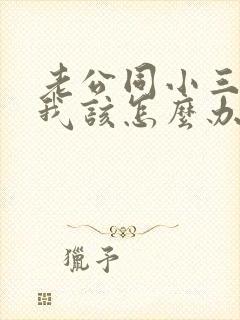 老公同小三同居我该怎么办