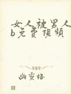 女人被男人插bb免费视频