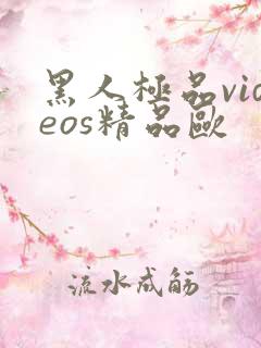 黑人极品videos精品欧