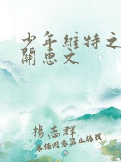 少年维特之烦恼关惠文