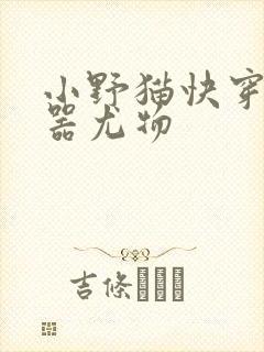 小野猫快穿之名器尤物