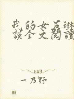 我的女友琳琳小说全文阅读