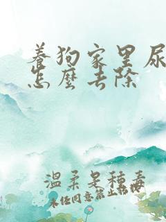 养狗家里尿骚味怎么去除