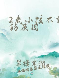 2岁小孩不说话的原因