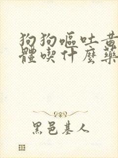 狗狗呕吐黄色液体吃什么药