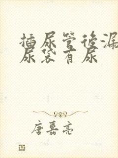 插尿管后漏尿但尿袋有尿