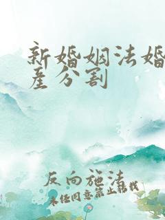 新婚姻法婚前房产分割