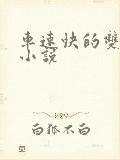 车速快的双男主小说