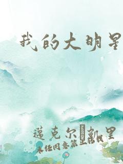 我的大明星老婆