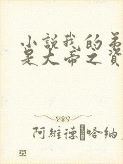 小说我的弟子全是大帝之资笔阁趣