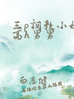 三p调教小嫩苞高h男男