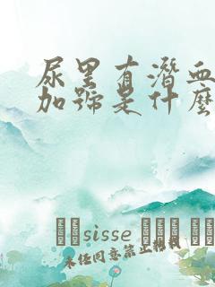 尿里有潜血二个加号是什么原因