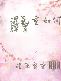 湿气重如何调理脾胃