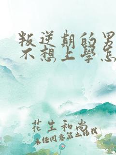 叛逆期的男孩子不想上学怎么办,不想沟通