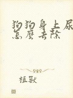 狗狗身上尿骚味怎么去除