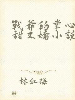 战爷的掌心宠又甜又娇小说在线阅读