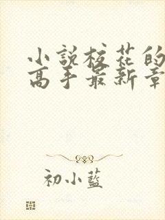 小说校花的贴身高手最新章节列表列表