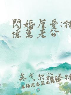 闪婚厚爱:错嫁亿万老公