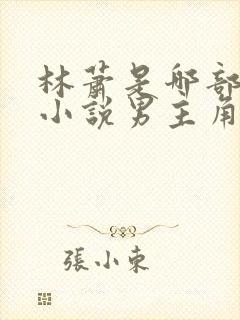 林萧是哪部玄幻小说男主角