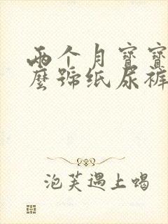 两个月宝宝用什么号纸尿裤