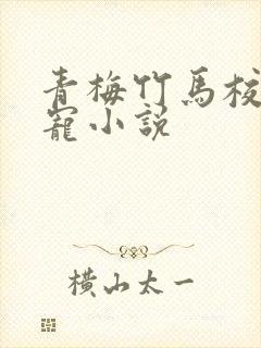 青梅竹马校园甜宠小说