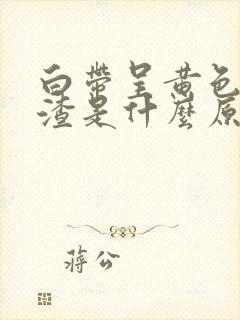 白带呈黄色豆腐渣是什么原因