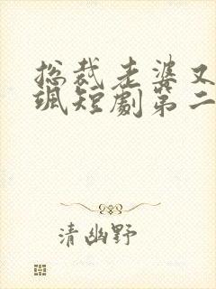 总裁老婆又美又飒短剧第二集在线观看