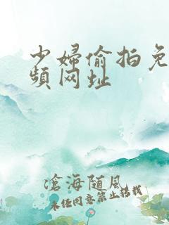 少妇偷拍免费视频网址