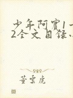 少年阿宾1一72全文目录小说