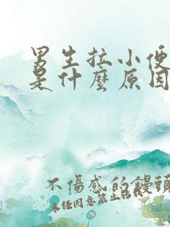 男生拉小便有血是什么原因