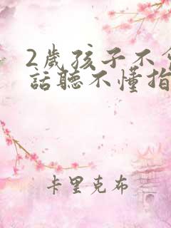 2岁孩子不会说话听不懂指令