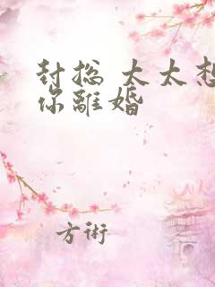 封总 太太想跟你离婚