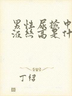 男性尿检中的粘液丝高是什么意思