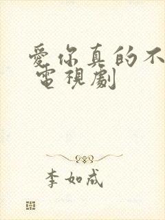 爱你真的不容易 电视剧