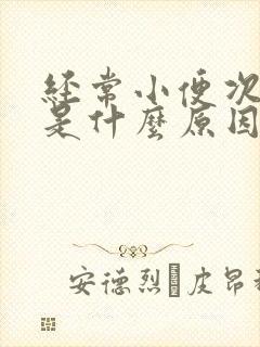 经常小便次数多是什么原因