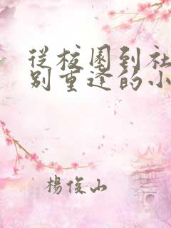 从校园到社会久别重逢的小说