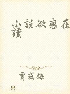 小说欲恋在线阅读