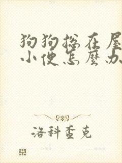 狗狗总在屋里大小便怎么办