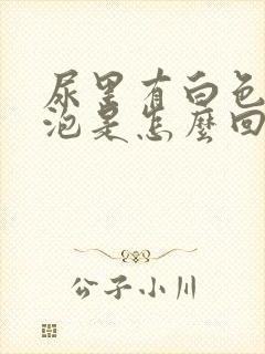 尿里有白色的泡泡是怎么回事