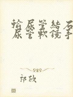 输尿管结石用输尿管软镜手术