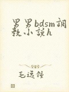 男男bdsm调教小说h