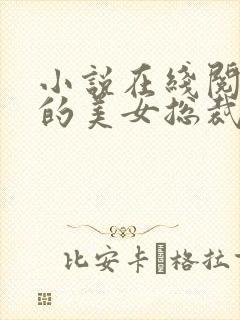 小说在线阅读我的美女总裁老婆