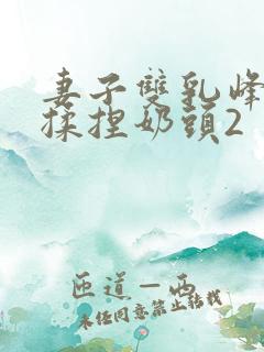 妻子双乳峰摸晃揉捏奶头2