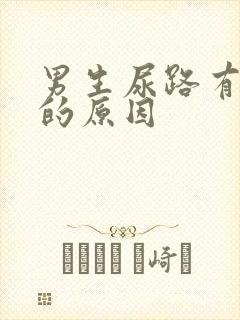 男生尿路有感染的原因