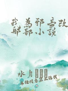 我为邪帝改编自哪部小说