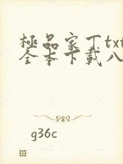 极品家丁txt全本下载八零电子书