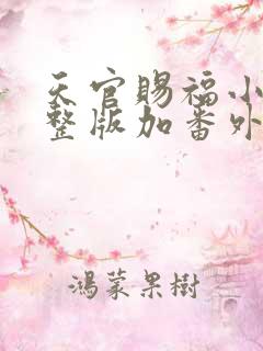 天官赐福小说完整版加番外txt